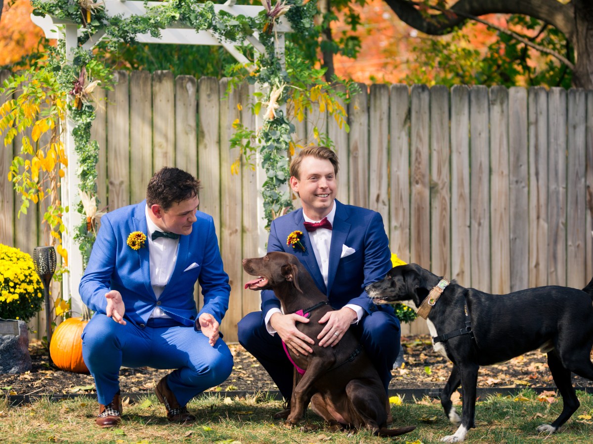 Where We’re At Right Now (And What’s&nbsp;Next)